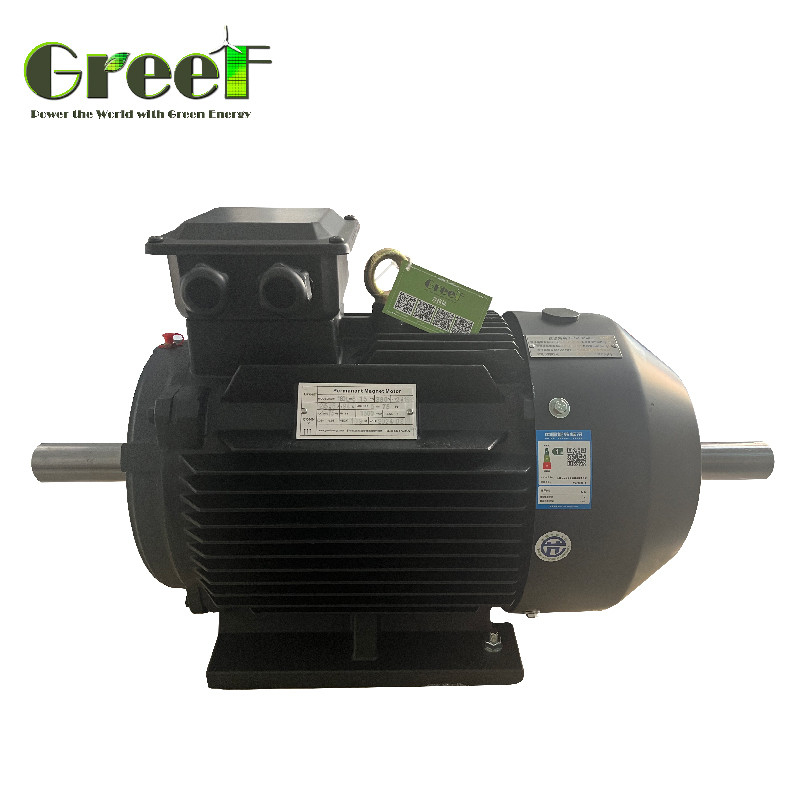 220V 750W-5MW トーク 変速率駆動付き 永久磁石電機