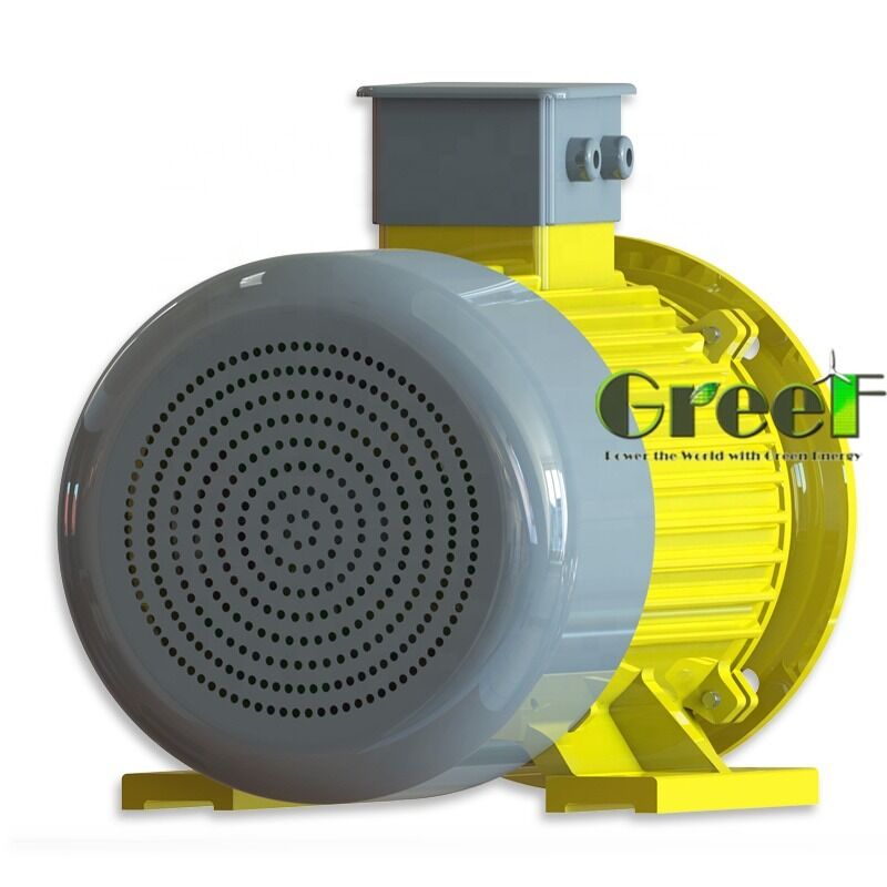 50Hzおよび60Hz周波数永久磁石モーター、100Mohm以上500Vdc絶縁抵抗、産業システム向け6極