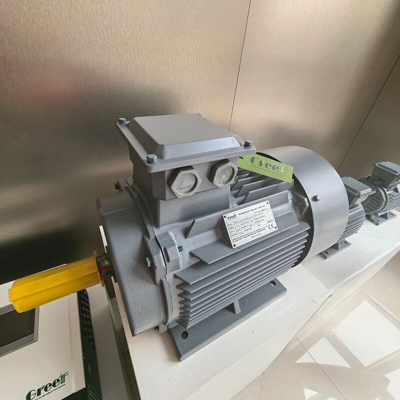 IP54定格フランジマウント永久磁石モーター、産業用途向け0～3000 RPM