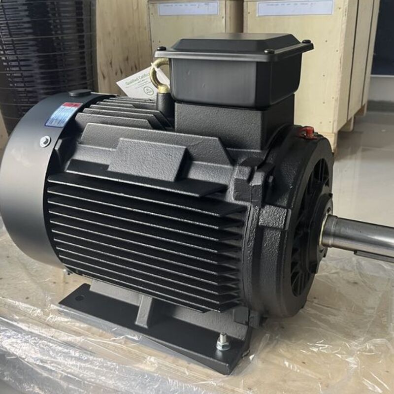 高効率の永久磁石モーター 100Mohm Min 絶縁抵抗,カスタマイズ可能なポール,SKFベアリング